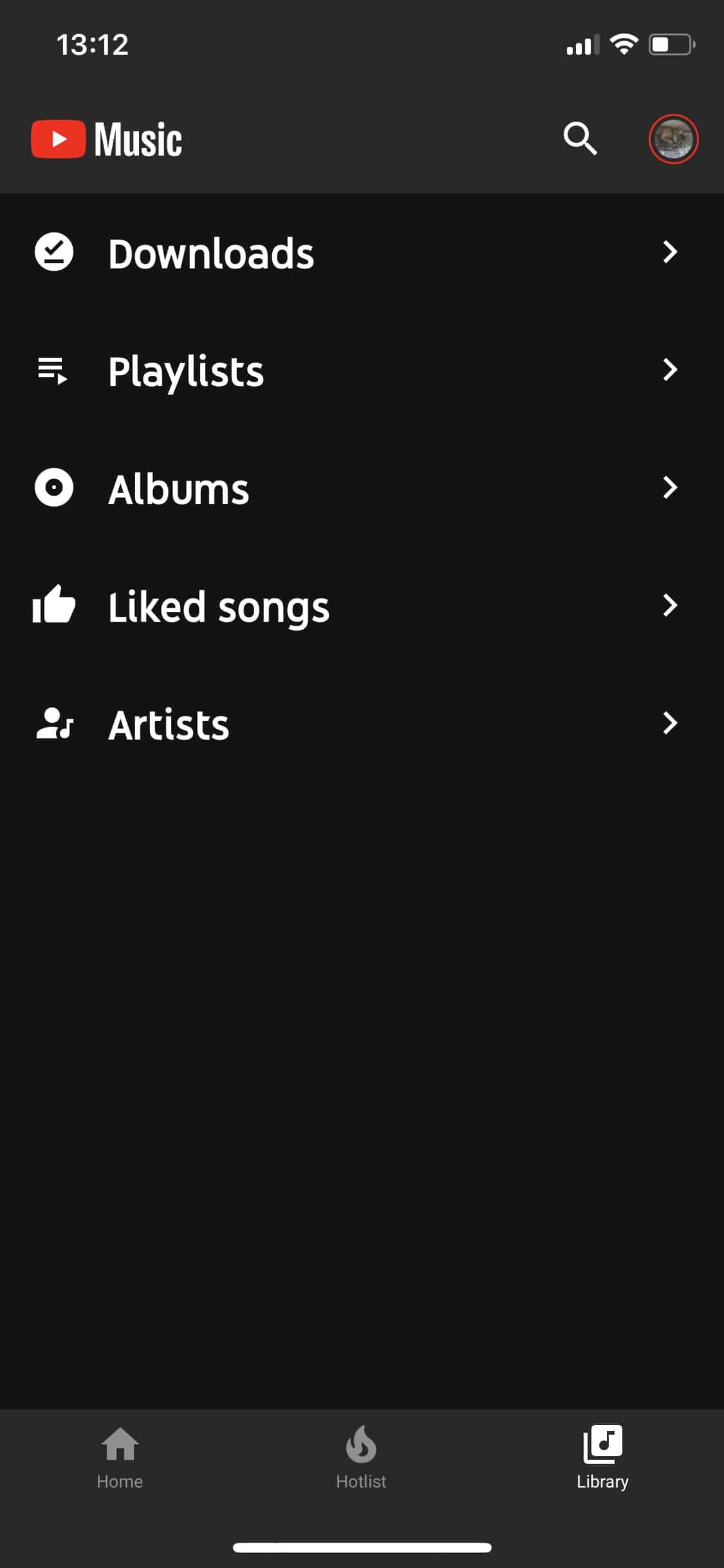 YouTube Music Premium - Apple iOS-App - Bibliothek