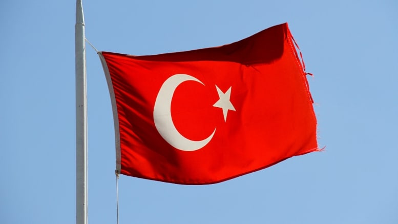Flagge - Türkei - rot-weiß - Fahnenmast - Fahne - Mast