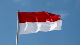 Polnische Flagge - Polen - Flagge - Hissen - Himmel