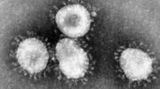 Virus - Corona - Mikroskop - Coronavirus - Viren